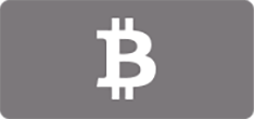 bitcoin payment method logo